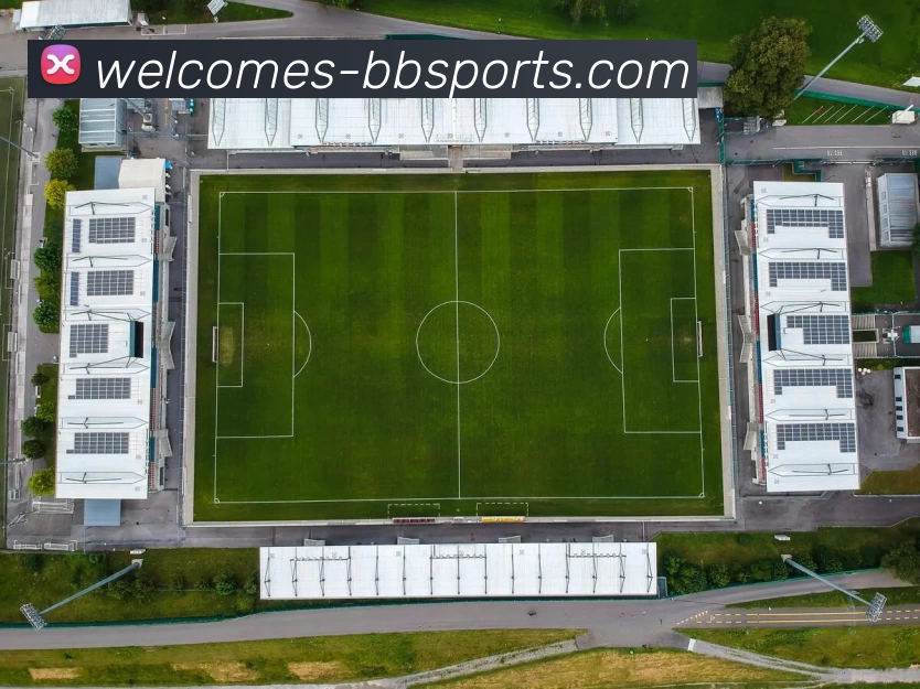 多媒体互动体验